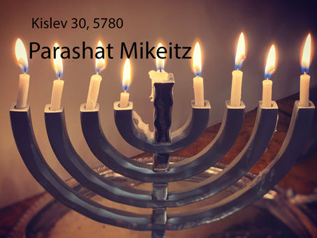 AUDIO ESSAY: Torah for the Earth - Mikeitz