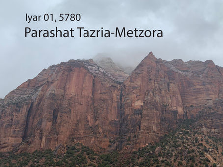 AUDIO ESSAY: Torah for the Earth - Tazria-Metzora