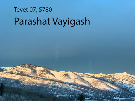 AUDIO ESSAY: Torah for the Earth - Vayigash
