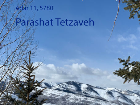 AUDIO ESSAY: Torah for the Earth - Tetzaveh