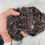 Thumbnail: Potting Soil Bags (5L)