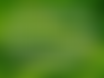 Session 7: Sun Wukong wanting to avoid the “Three Disasters”