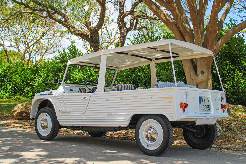 Thumbnail: CITROEN MÉHARI