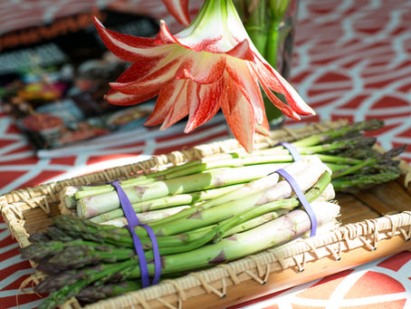 Asparagus season here again!