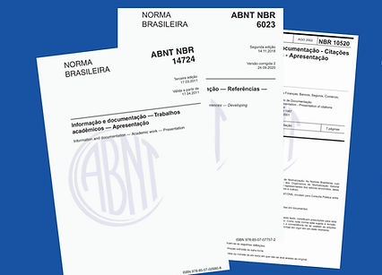 Captura de tela 2024-06-05 062212.jpg