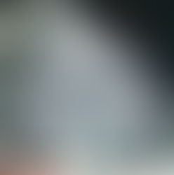 もったいなすぎ