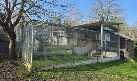 photo de l'extérieur sécurisé du pavillon des félins