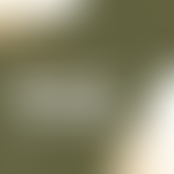 Tudo que você precisa saber sobre a Mentoria da Abordagem Transomática