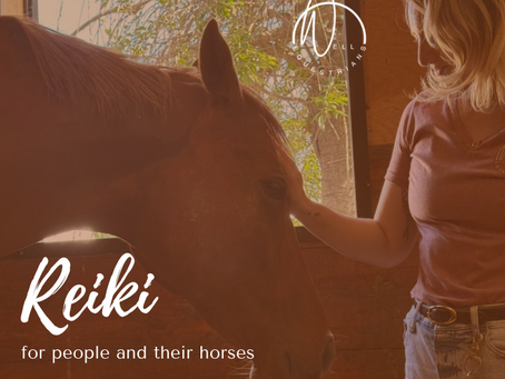 Reiki for You and Your Horse