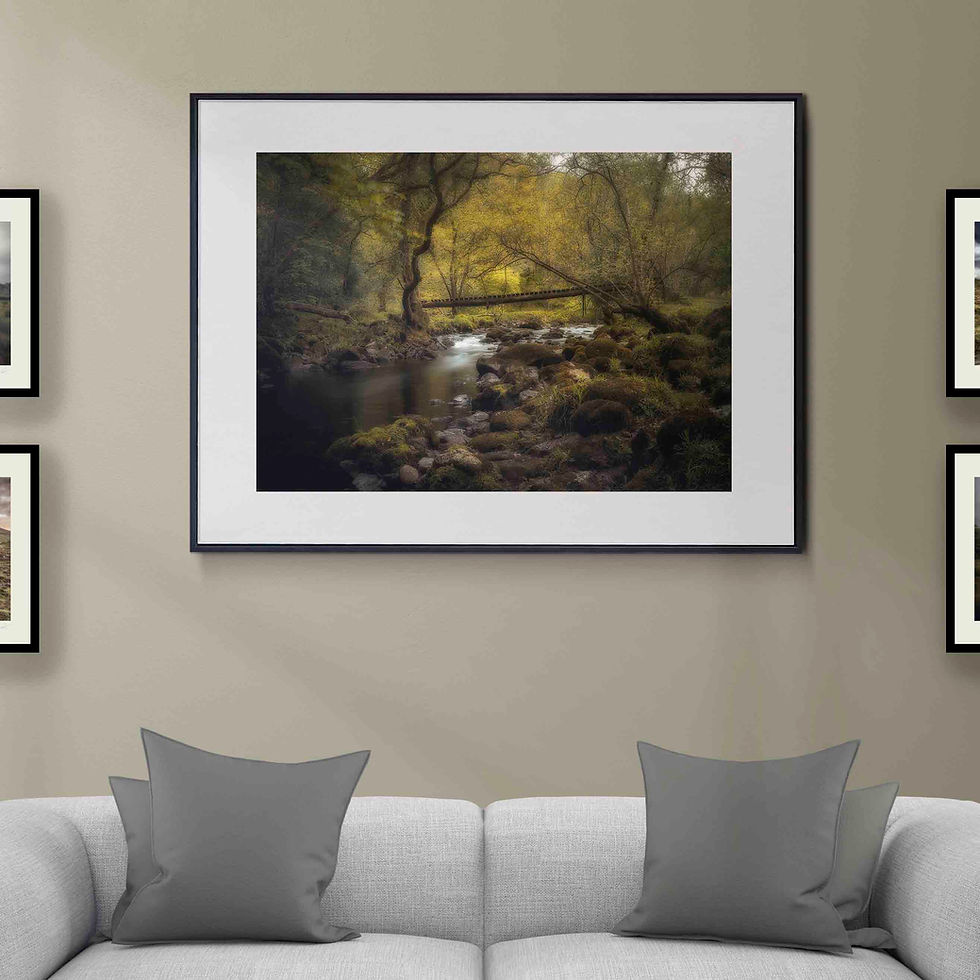 Gray sofa beneath a framed forest stream landscape print in a calm living room with neutral walls and pillows