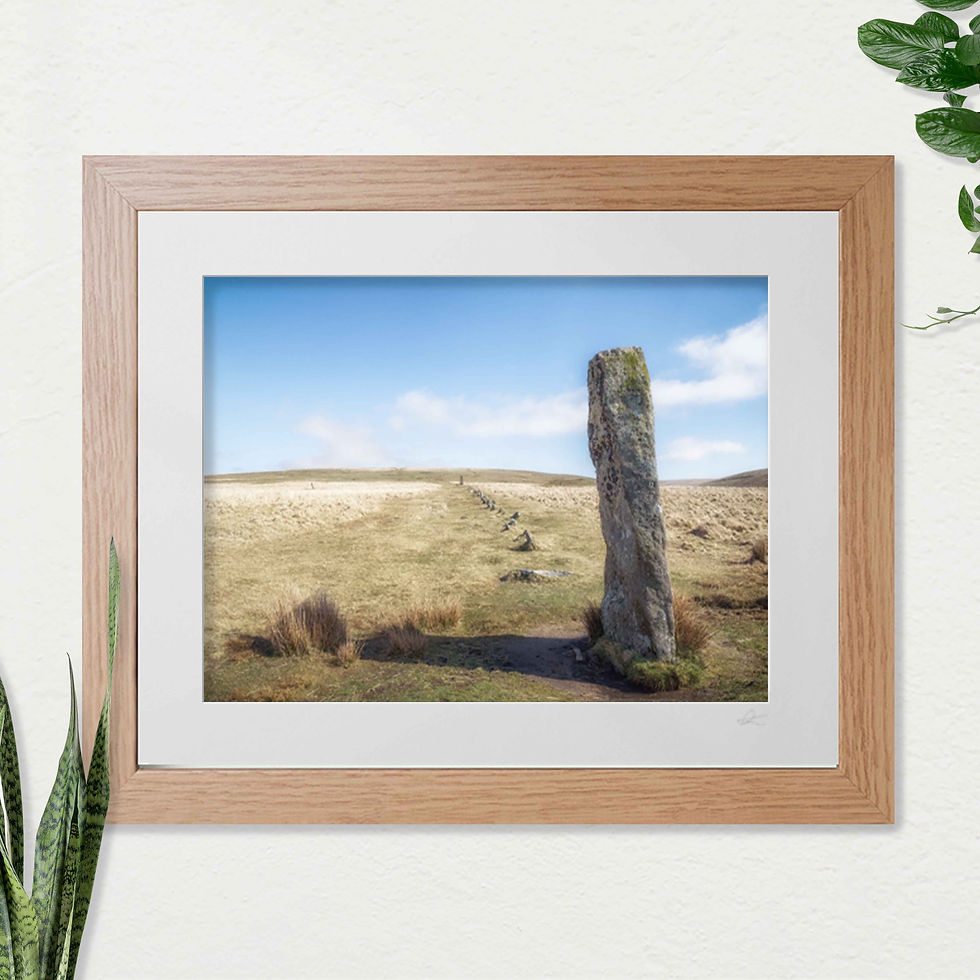 Μικρογραφία: Monolith & Stone Row at Drizzlecombe. Open Edition Photographic FRAMED PRINT