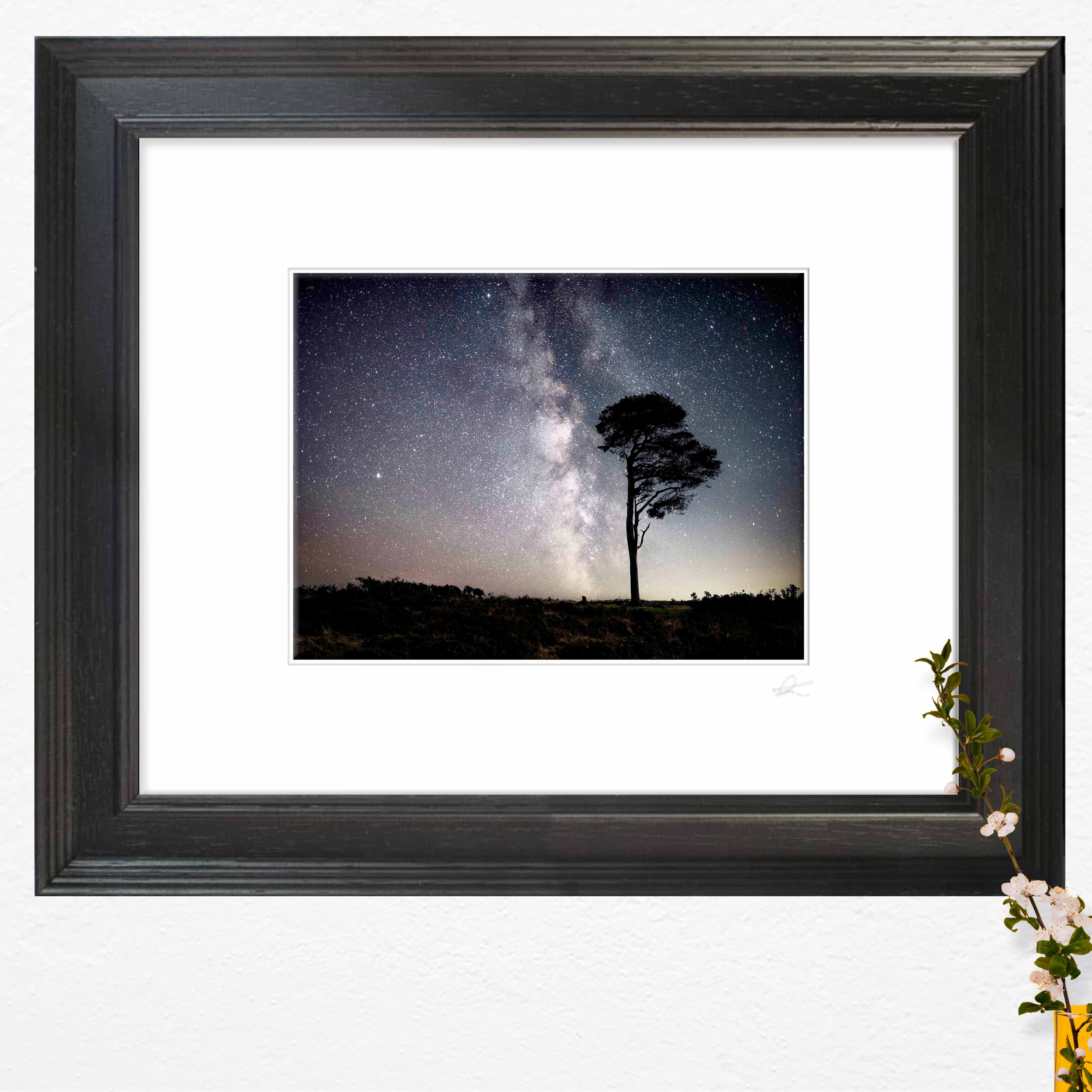 Midnight at the Powdermills. Limited Edition Photographic Framed Print