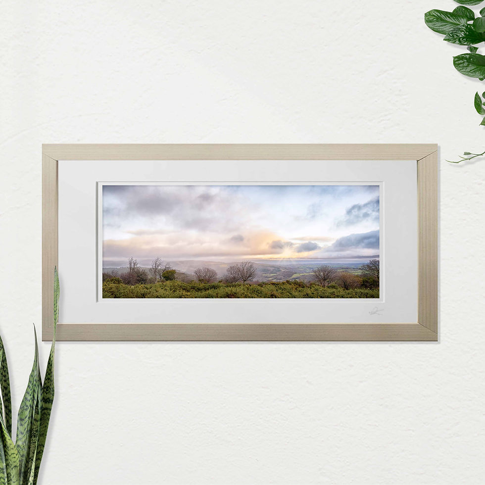 Miniatura: Dartmoor Evening. Open Edition Panoramic Photographic FRAMED PRINT