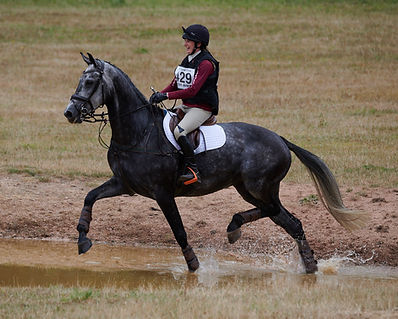 Equestrian Photography by Thorn Valley Studios