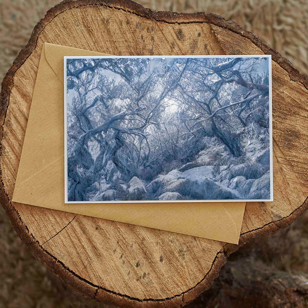 Wistman's Wood Winter. A6 Photographic Greeting Card