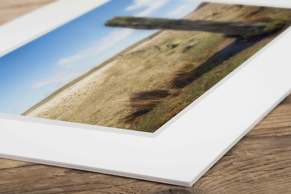 Dartmoor Landmarks | Ancients of Drizzlecombe | Open Edition Photograph