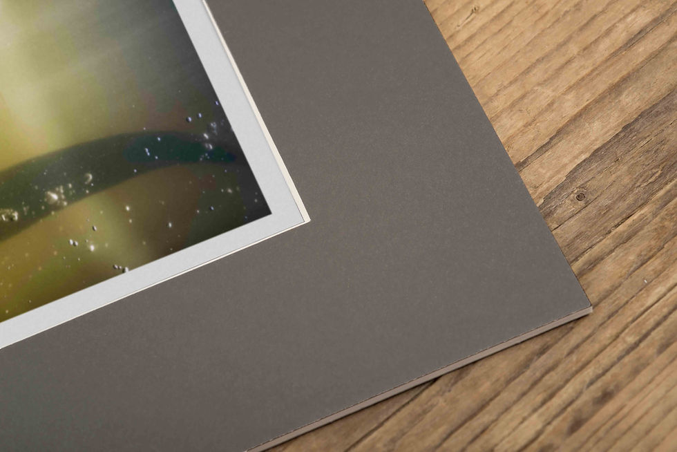 Thumbnail: Dartmoor Wildlife: River Hunter | Open Edition Photograph