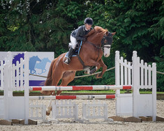 Equestrian rider on chestnut horse jumping over a fence. EQUESTRIAN PHOTOGRAPHY