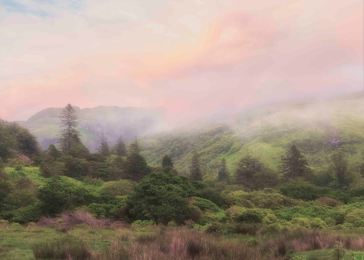 Pink hues in the mist over a valley on the Isle of Mull, Scotland