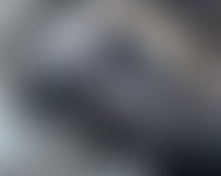 Magnifying glass over a printed photo of a windswept tree on rocky hills at dusk, with blurred page text around it.