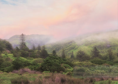 Landscape Photography by Thorn Valley Studios