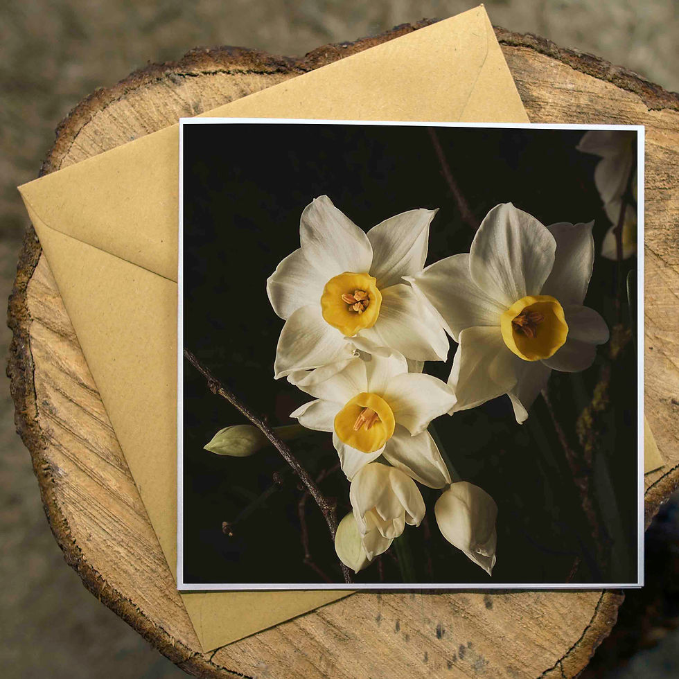 Narcissus. Square Photographic Greeting Card