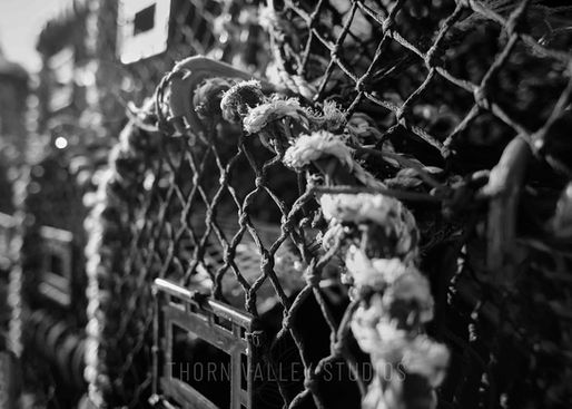 What the f/stop? An introduction to Aperture and Depth of Field (DoF)...