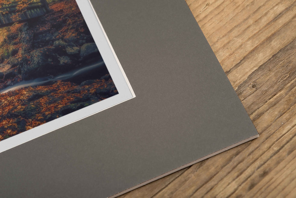 Miniatura: Autumn Bridge | Tarka Trail, Sticklepath Devon | Open Edition Photographic Print
