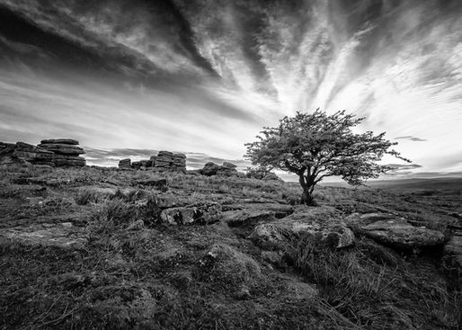 Photographing on Dartmoor: Tips from a local Pro Photographer