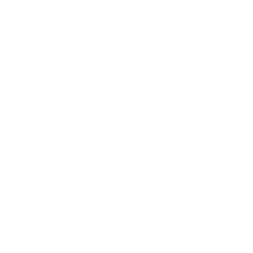 White Modern Logo Design.png