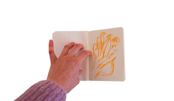IMGP3845.png