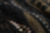 Black n golden.jpg