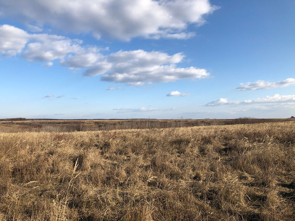 E timpul pentru o excursie !!!!