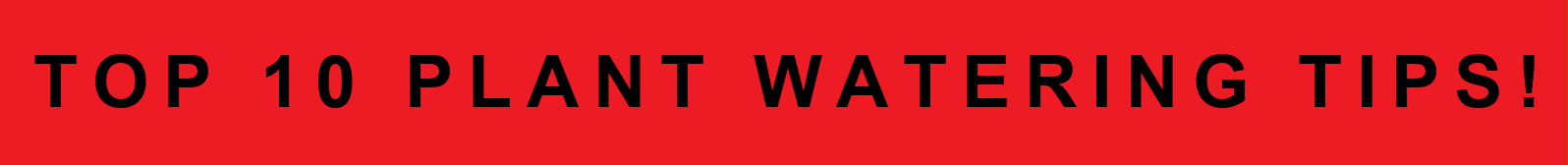ezgif.com-animated-gif-maker (2).gif