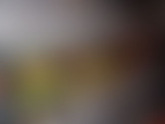 Creating a Halloween themed cage on a budget