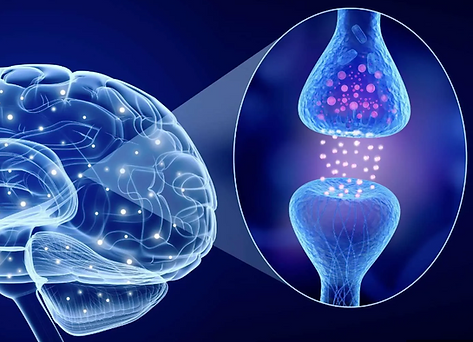 Neurological modulation in worcestershire