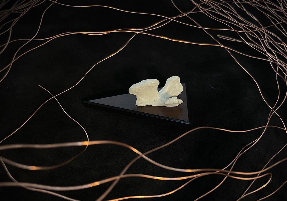 Thumbnail: Wood mounted bone bolo tie rests on a black background with copper wire