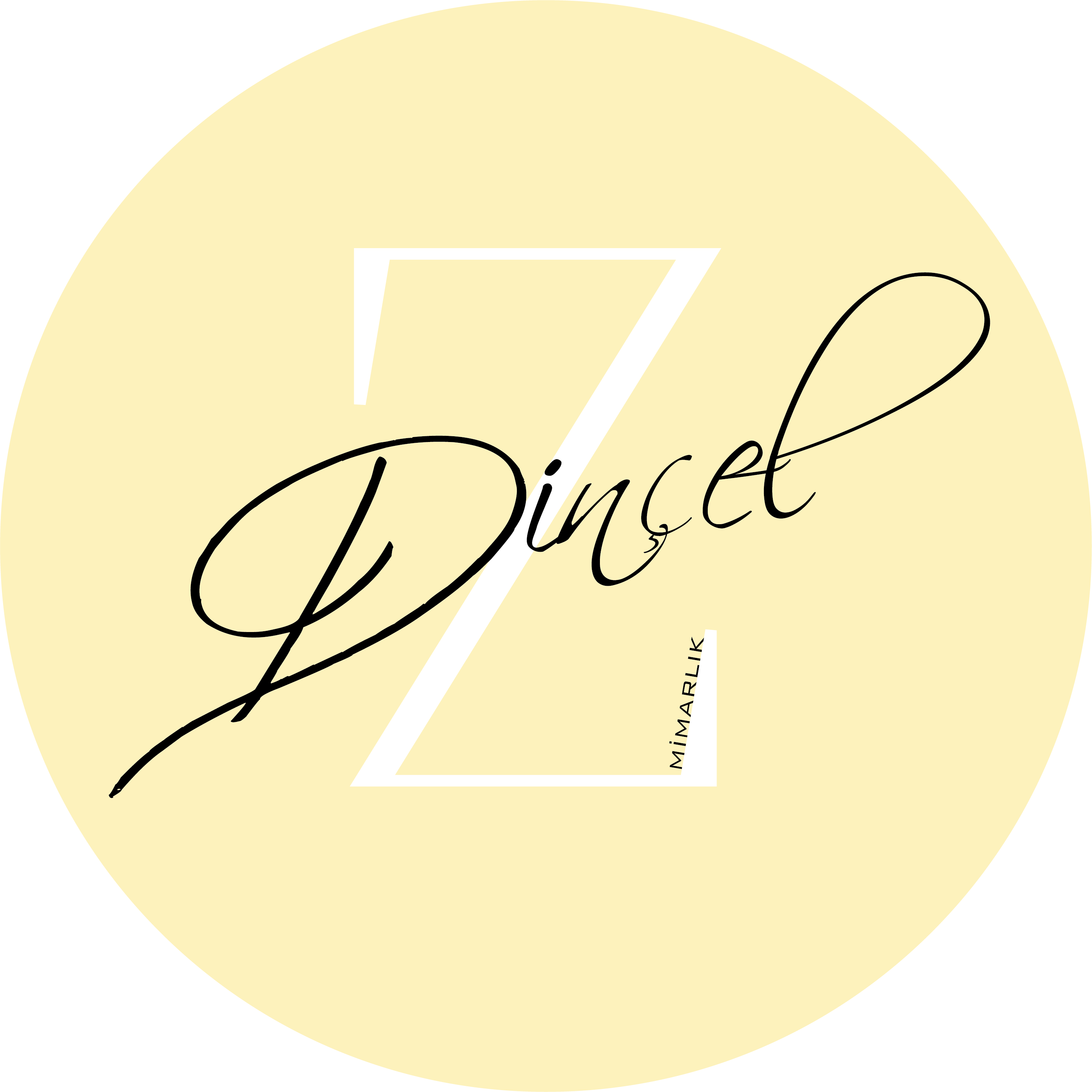 Ebru Zeynep Dinçel avatar