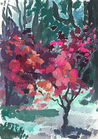 Young acer Stourhead.jpg