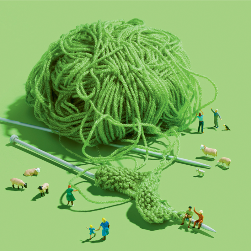 Photo_Wool.png