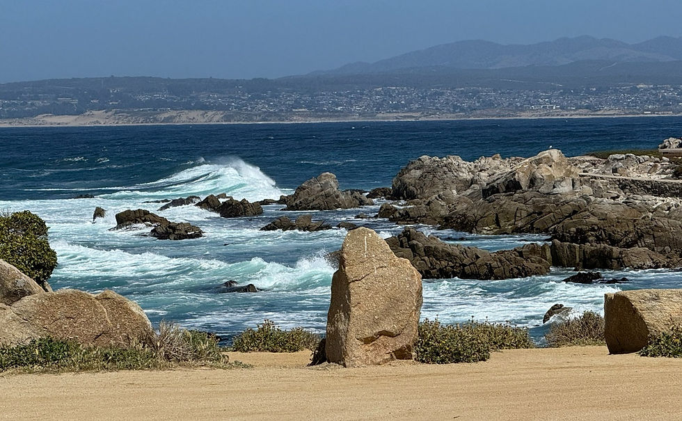 Monterey Half 13.1, 10k, 5k