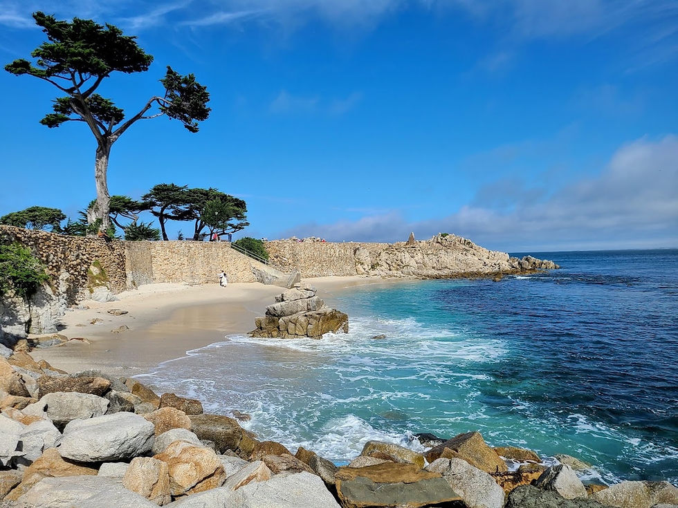 Monterey Bay 26.2, Half 13.1, 10k, 5k