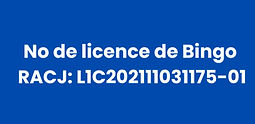 No de licence de Bingo_edited.jpg