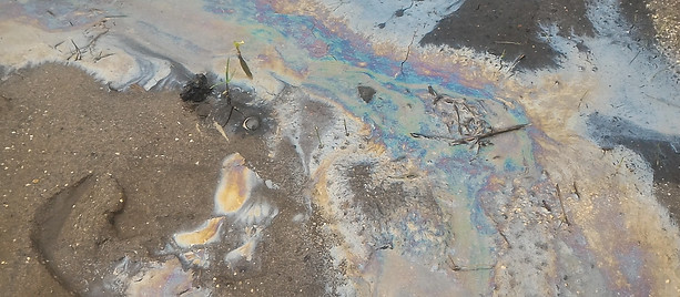 Contaminated Site Assessment in Brisbane
