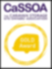 CaSSOA Gold Award.jpeg