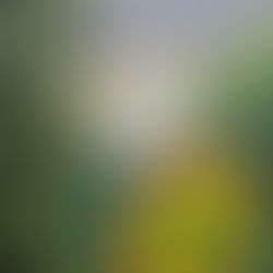 Overtourism in Hallstatt