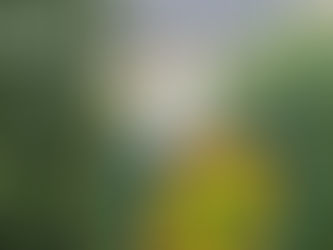 Overtourism in Hallstatt