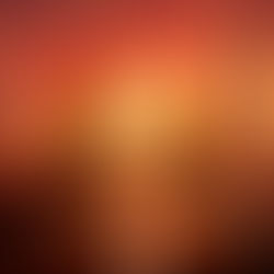 The God's Themselves: Humanity & The Observer Machine