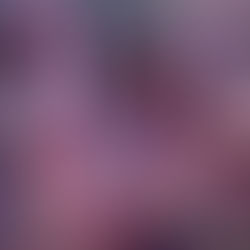 The End State of Human Intelligence