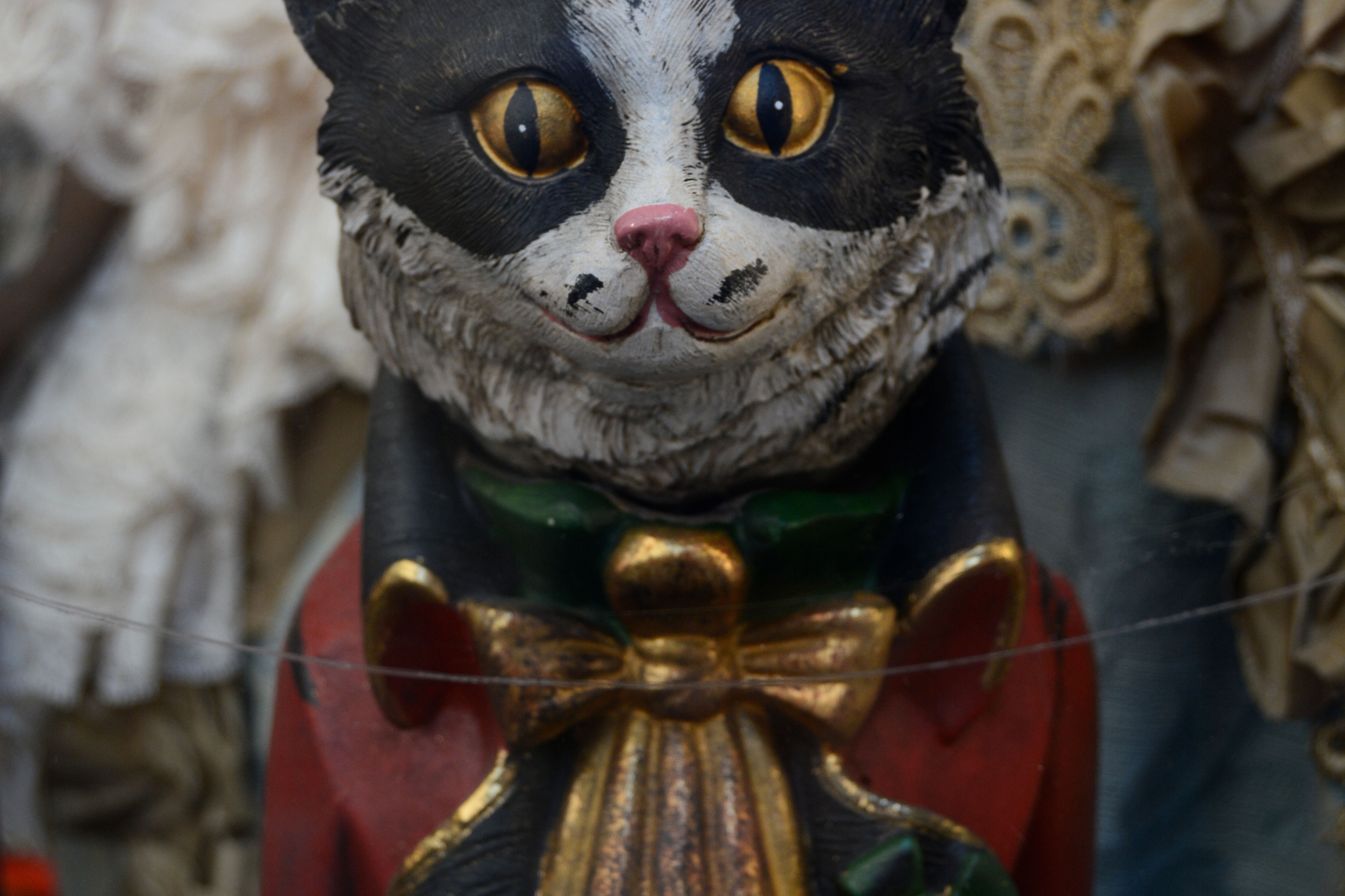 Venetian Cat
